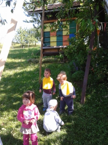 pri čebelnjaku
