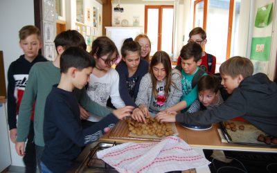 Projekt UNESCO na OŠ Gorje – OD PŠENIČKE DO POTIČKE