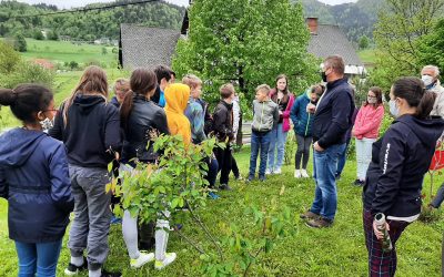 VELIKI TRAVEN IN ROŽNIK – Čebelam cvetoč travnik